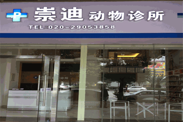 崇迪动物医院