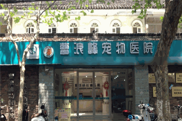 曹浪峰宠物医院