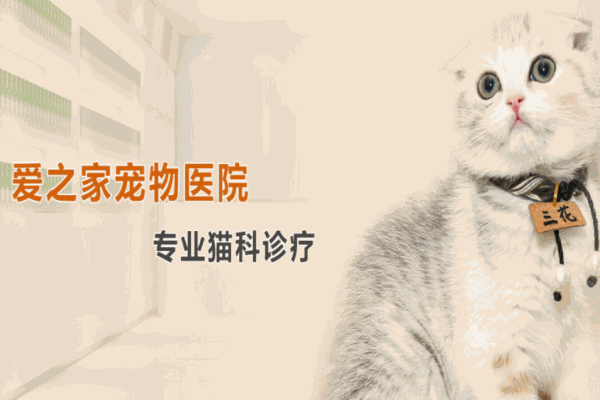 爱之家动物医院