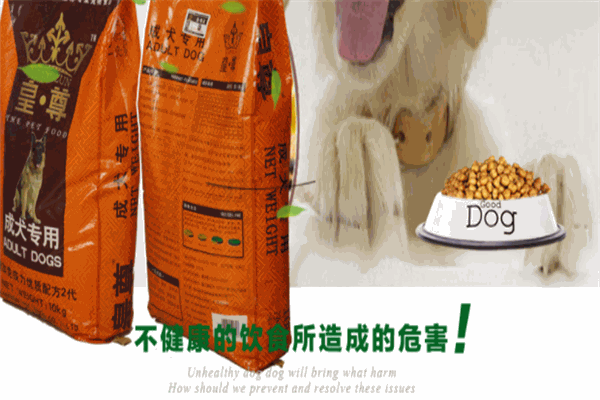 皇尊狗粮