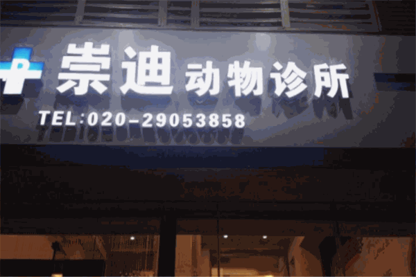 崇迪动物医院