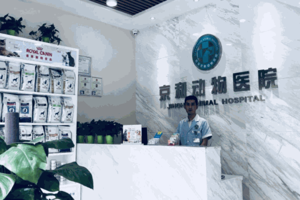 京和动物医院
