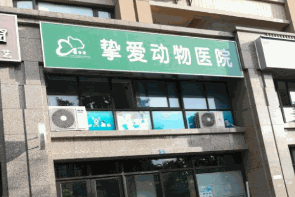 挚爱动物医院