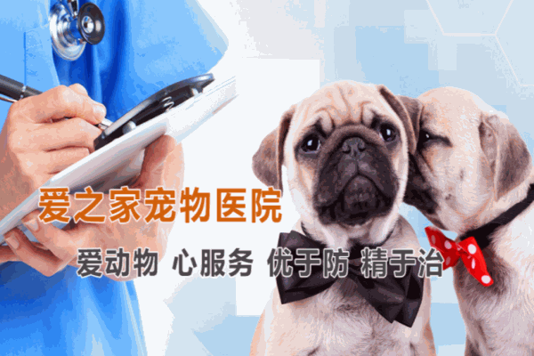 爱之家动物医院
