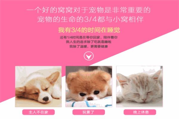 kai qu宠物用品