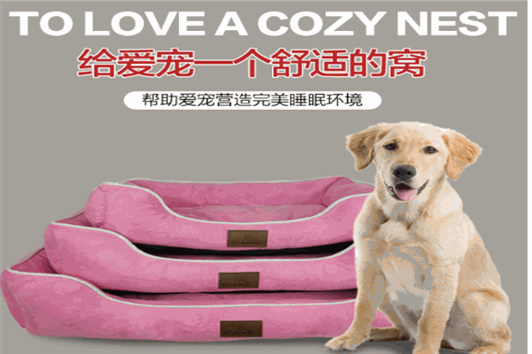 宠友友宠物用品
