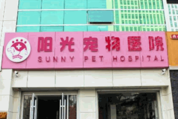 阳光动物医院