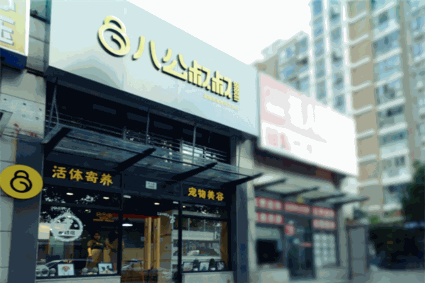 八公叔叔