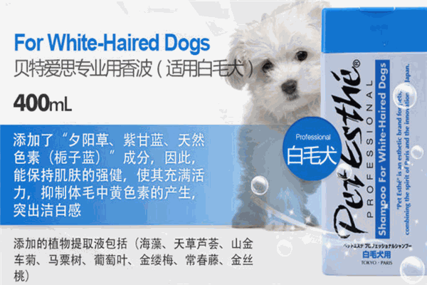 贝特爱思宠物