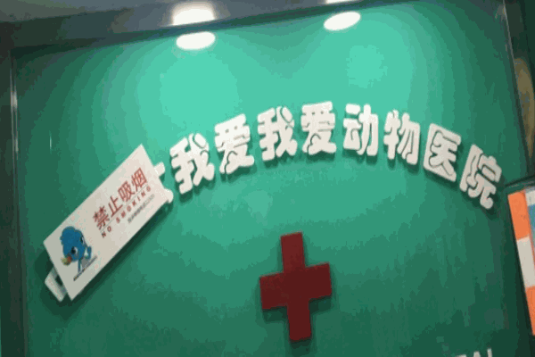 我爱我爱宠物医院