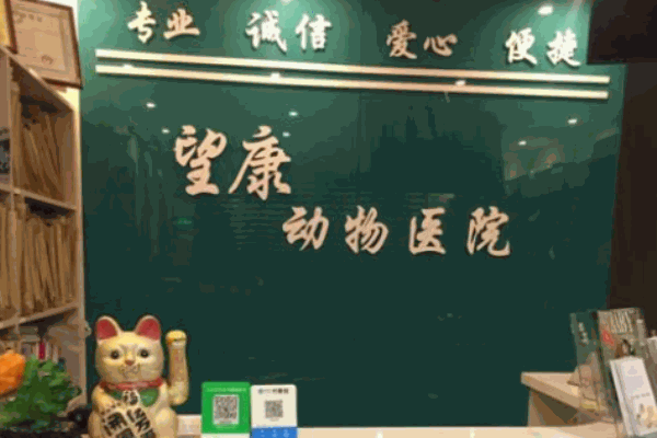 望康动物医院