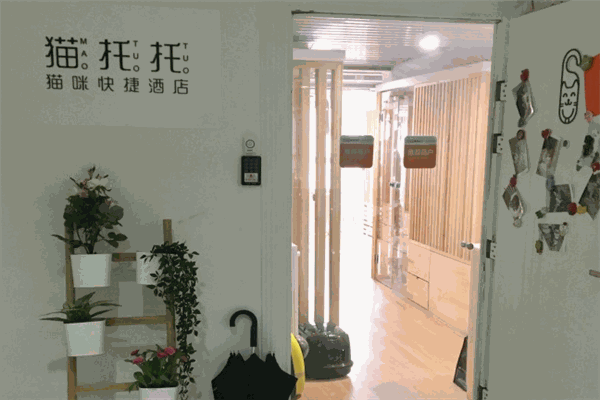 猫托托猫咪快捷酒店