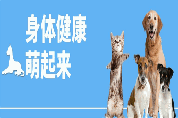 宠康宠物医院