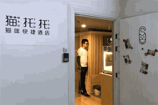 猫托托猫咪快捷酒店