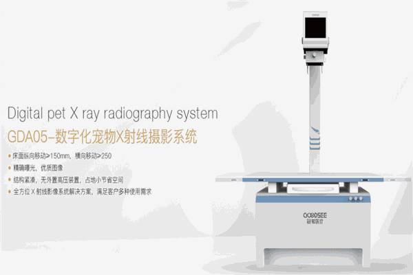 冠希宠物医疗