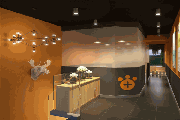 天然高分子宠物店