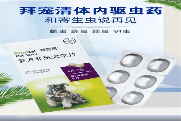 拜宠清加盟