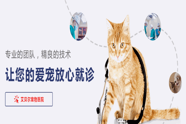 艾贝尔宠物医院