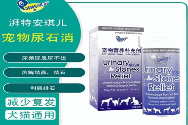 湃特安琪儿