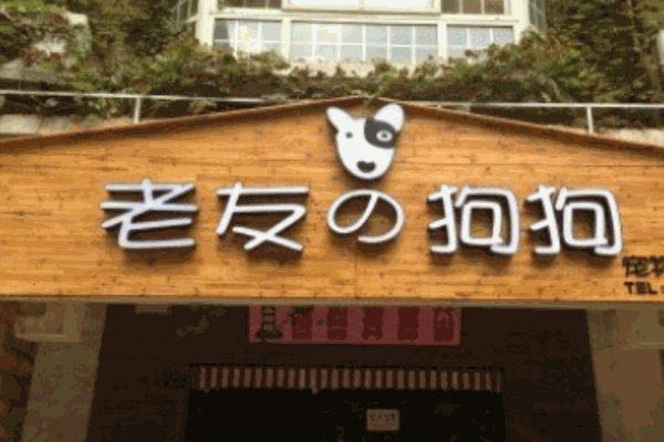 老友狗狗宠物店