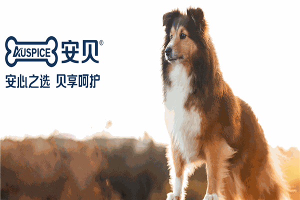 安贝犬粮
