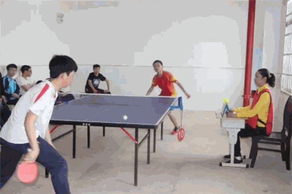 雏鹰乒乓球俱乐部
