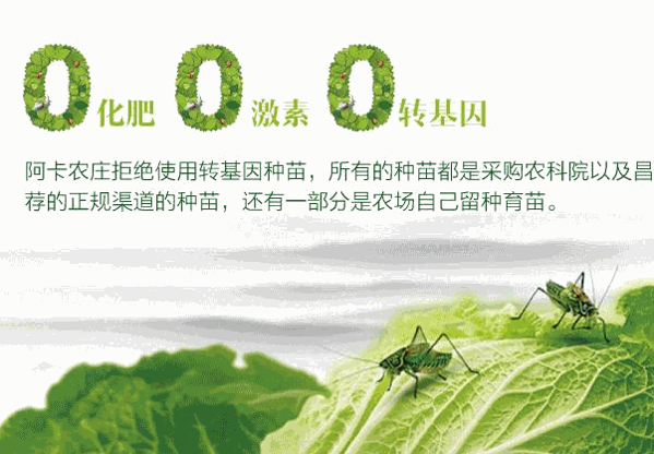 阿卡农庄