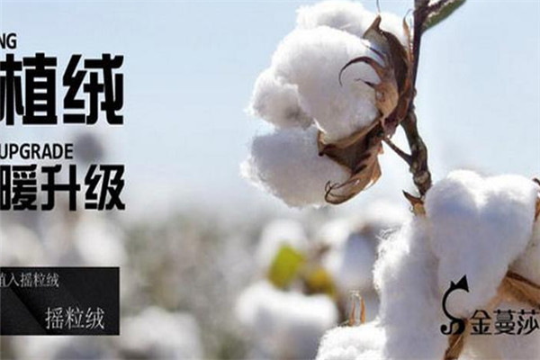 金蔓莎孕妇装加盟