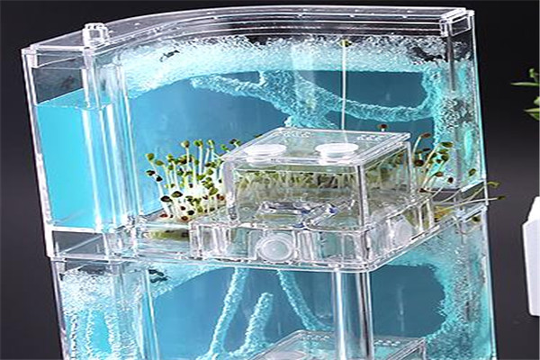 蚂蚁工坊玩具加盟