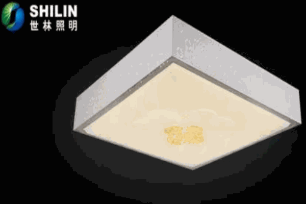世林照明