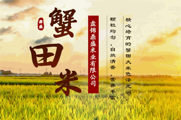 鼎盛米业