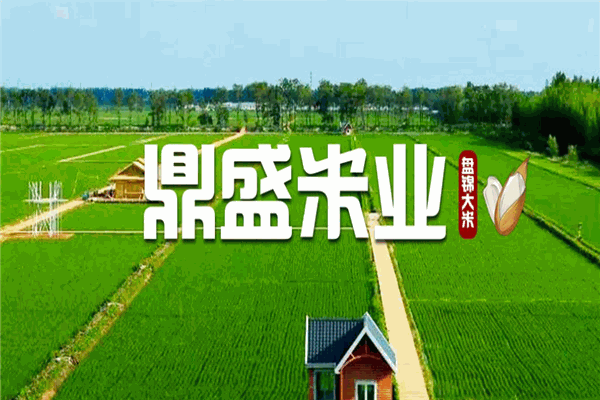 鼎盛米业