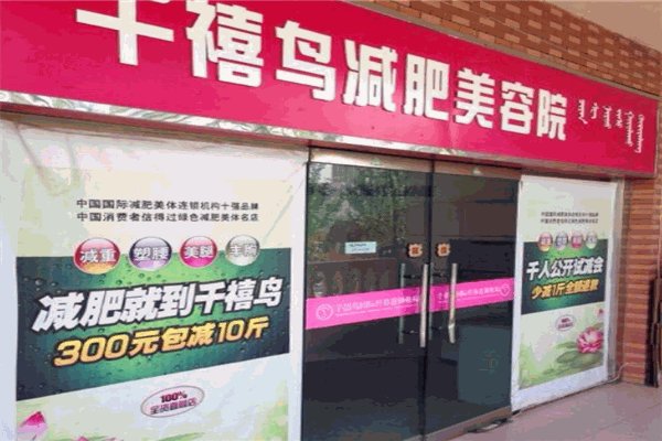 千禧鸟国际减肥
