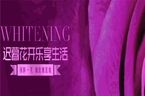 暮享老年大学