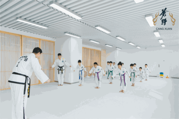 苍轩跆拳道