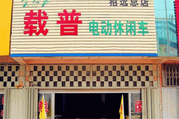 载普电动车