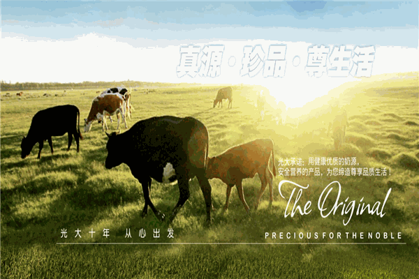 奶牛梦工厂牛奶