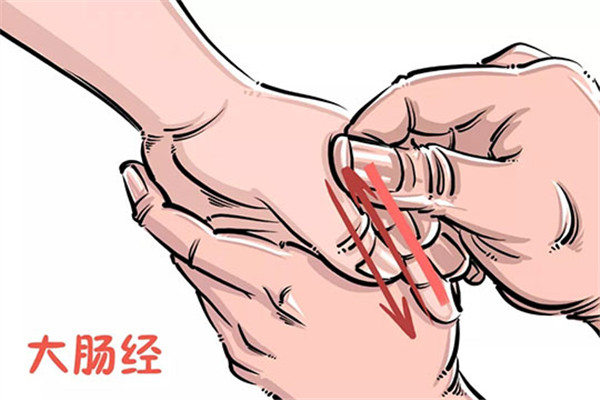 彩豚乐园小儿推拿加盟