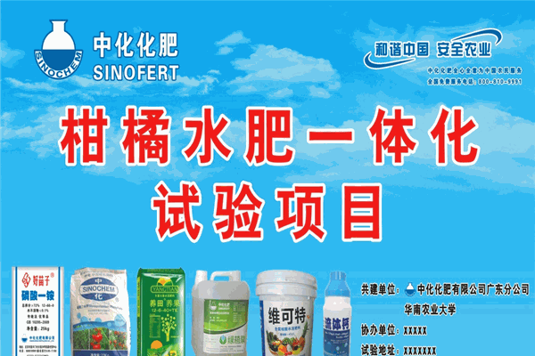 中化化肥