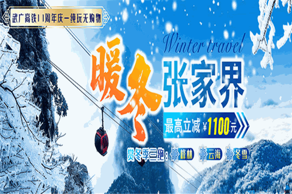 金马国旅