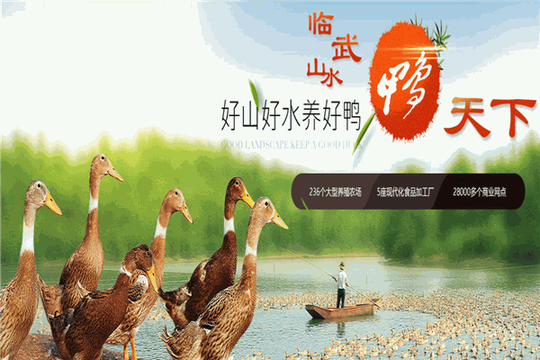 舜华临武鸭