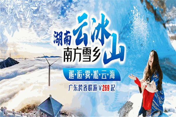 金马国旅