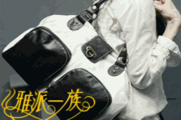 雅派一族箱包