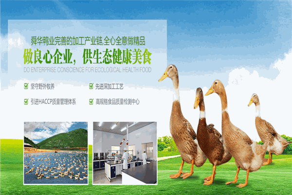 舜华临武鸭