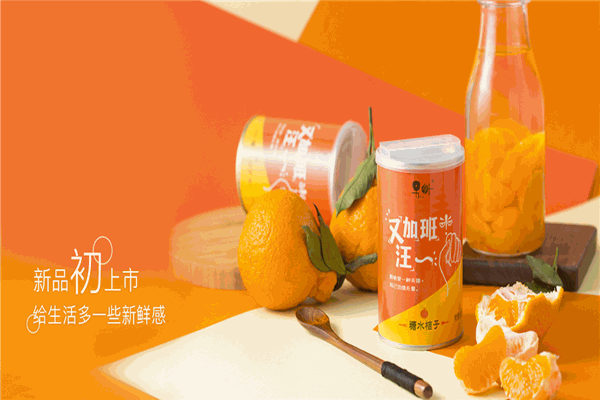 林家铺子