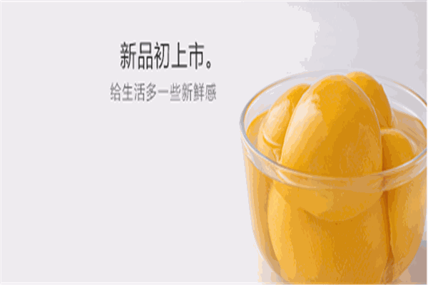 林家铺子