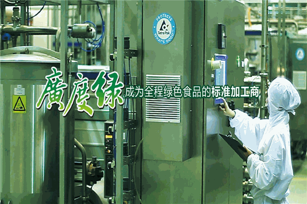 中绿粗粮王