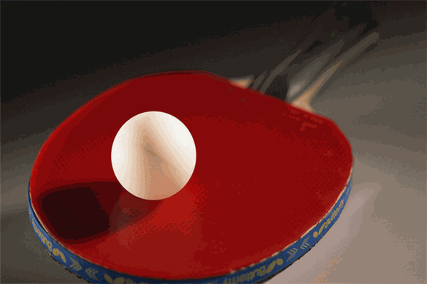 殿基凯杰乒乓球俱乐部