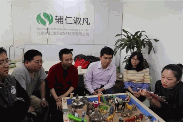辅仁淑凡软件