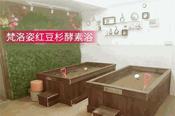 梵洛姿红豆杉酵素浴